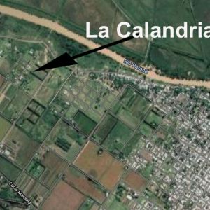 La Calandria 2